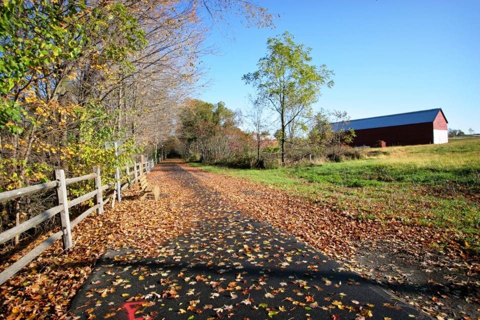 East Granby CT Outdoors