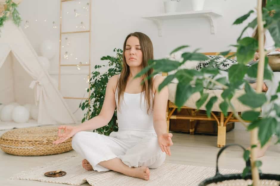 holistic PTSD recovery